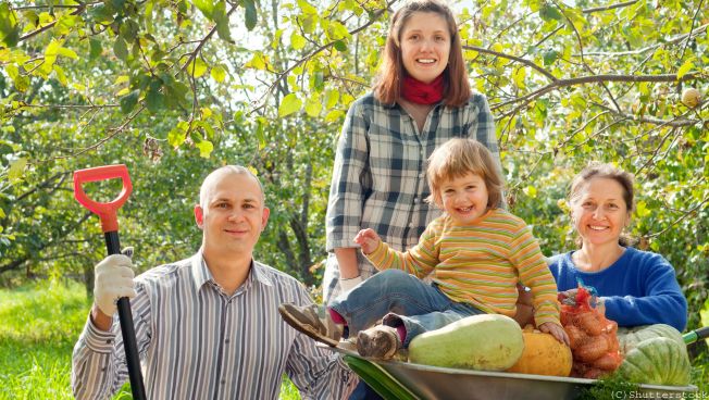 Familie auf dem Land mit Schubkarre voller Gemüse