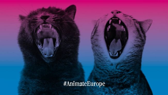 Animate Europe-Grafik