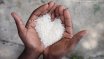 Hände halten Reis: Außenwirtschaft und Entwicklungspolitik stärker verzahnen